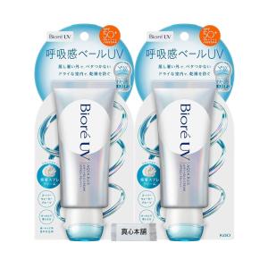 資生堂 アネッサ パーフェクトUV ブラッシュオンパウダー 本体 3g