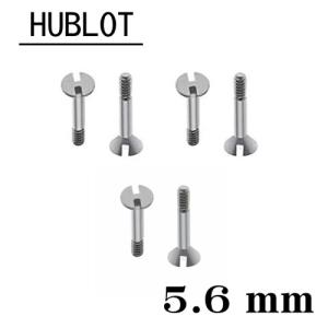 HUBLOT（ウブロ） メール便送料無料 用 H型 工具 / ネジ ( 2mm 5.4mm