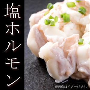 特製塩ホルモン 300gパック 香ばしい塩だれ 焼肉 もつ鍋