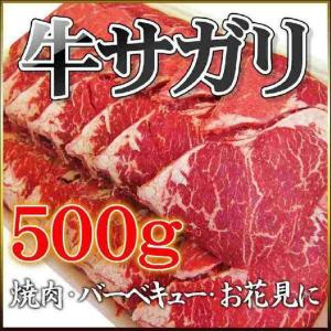 牛サガリ 500g アメリカ産 焼肉 たべごたえ抜群 BBQ バーベキュー 厚切りもできます｜magokoromeat