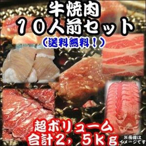 バーベキューセット 送料無料 計2.5kg 牛サガリ1kg 牛バラ500g 牛シマチョウ500g 牛タン500g BBQセット