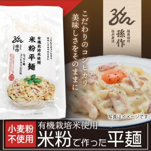 米粉麺 パスタ 平麺 きしめん グルテンフリー 128g×6食...