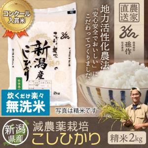 無洗米 減農薬栽培米 コシヒカリ 精米 2Kg 新潟県産 こしひかり｜magosaku-food