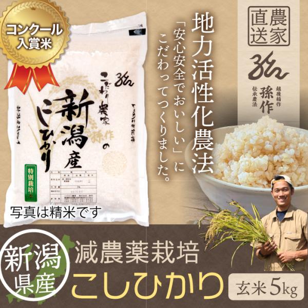 玄米 新潟県産 コシヒカリ 特別栽培米 5kg 令和5年産 新米 こしひかり 5キロ 農家直送 減農...