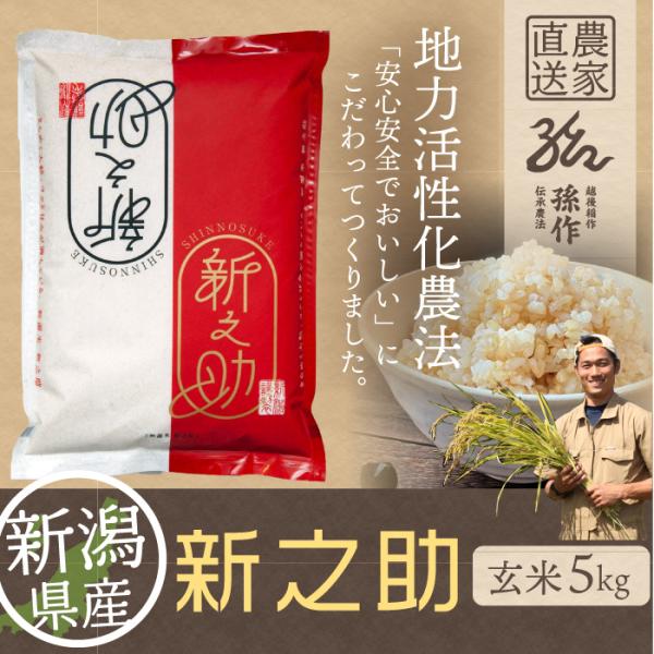 玄米 新潟県産 新之助 5kg 令和5年産 新米 しんのすけ 5キロ 農家直送 お米