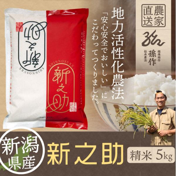 新潟県産 新之助 白米 精米 5kg 令和5年産 新米 しんのすけ 5キロ 農家直送 お米