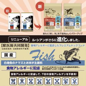 イースター プロステージ ル・シアン フィッシ...の詳細画像1