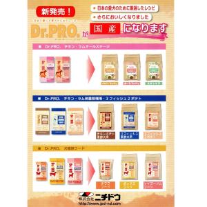 【在庫処分:賞味期限2028.04.20】ニチ...の詳細画像1