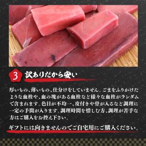 マグロ 刺身 訳あり 赤身 本まぐろ 鮪 天然...の詳細画像5
