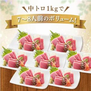 マグロ 訳あり 刺身 中トロ 鮪 天然本まぐろ...の詳細画像5
