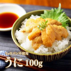 父の日 うに ウニ 雲丹 無添加うに100g ミョウバン未使用 無添加 80315