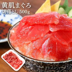 マグロ 赤身 訳あり 刺身 まぐろ キハダまぐろ赤身切落し500g  80563｜maguro-fukuboh