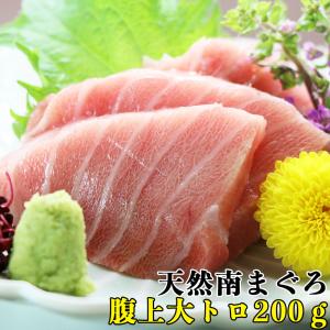 マグロ 大トロ  海鮮 海産物 食品マグロ 大トロ まぐろ