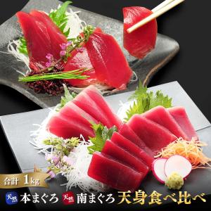 マグロ 刺身  訳あり 赤身 福袋 2大まぐろ天身（てんみ）食べ比べ福袋