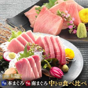 マグロ 刺身 訳あり 2大鮪中トロ食べ比べ福袋 中トロ 本鮪 南鮪 福袋 86116