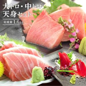 廃盤予定 マグロ 刺身 福袋 南まぐろ大トロ中トロ天身福袋 1.6ｋｇ 送料無料 86221