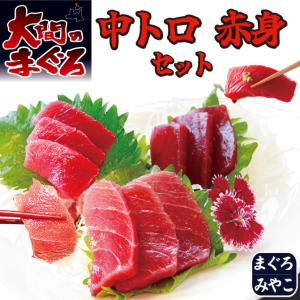 大間 本マグロ 中トロ・赤身 柵 お刺身 合計300ｇ イカソーメン100ｇ