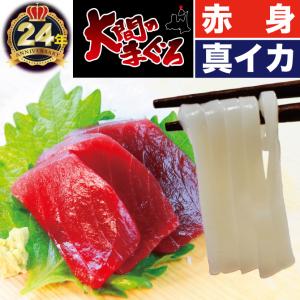 大間産 天然本マグロ 赤身 400g イカソーメン100g 5人前｜maguro-miyako