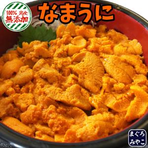 生ウニ 最上級「Aランク品」200ｇ (100ｇ × 2パック)