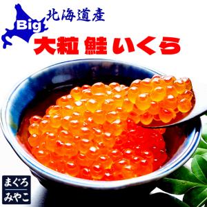 北海道産 鮭の大粒イクラ醤油漬け 500g（100ｇ×5パック）