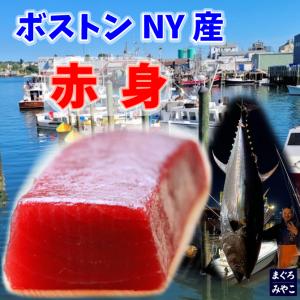 天然本マグロ【天身】（スジの無い赤身）270ｇ 2-3人前 北大西洋 アイルランド沖 USA産｜大間まぐろのみやこ