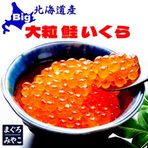 北海道産 鮭の大粒イクラ醤油漬け 300g（100g×3P）