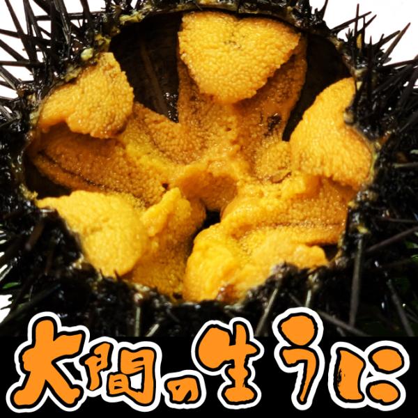 青森大間産 本物生ウニ 500ｇ(100g×5パック) 10人前 完全無添加 ふるさと ギフト 御祝...