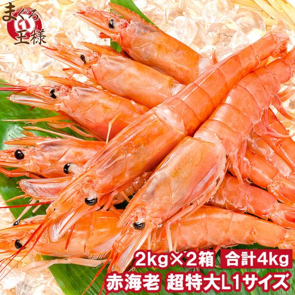 赤海老 赤えび 4kg 超特大 L1 20〜40尾 業務用 2kg×2箱 赤エビ あかえび アカエビ...