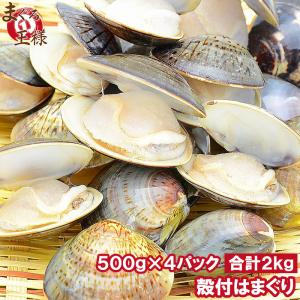 はまぐり ハマグリ 蛤 ボイル 2kg 500g×4