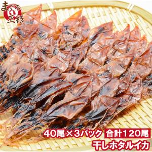 ホタルイカ 素干し 干しほたるいか＜40尾×3パック＞｜maguro-ousama