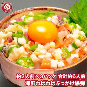 海鮮ねばねばぶっかけ爆弾（230g×3 約6人前）｜maguro-ousama