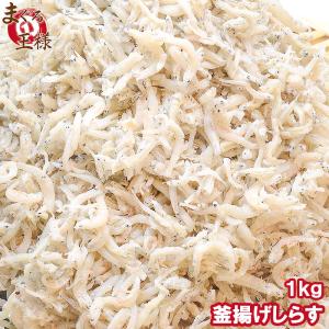 釜揚げしらす メガ盛り1kg  (しらす シラス 白子 釜揚げしらす)｜maguro-ousama