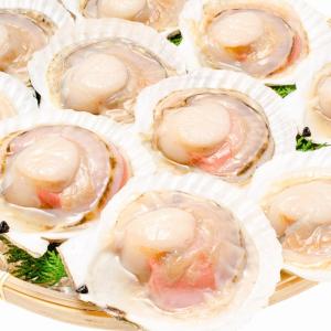 お中元 ホタテ ほたて 特大 片貝ほたて 20...の詳細画像1