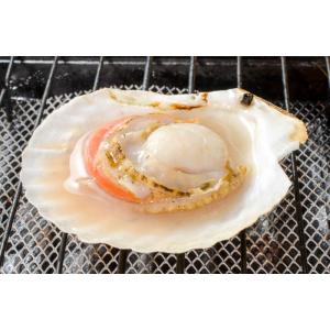 お中元 ホタテ ほたて 特大 片貝ほたて 20...の詳細画像2