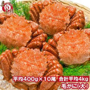 毛ガニ 毛がに 毛蟹 浜茹で 毛ガニ姿 平均 400g ×10尾 合計 約 4kg 1箱 セット かに カニ 蟹 かに鍋 焼きガニ 単品おせち 海鮮おせち｜maguro-ousama