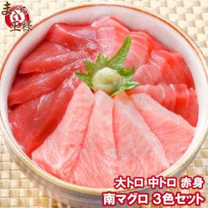 ミナミマグロ 大トロ、中トロ、赤身各200g超豪華3色セ...