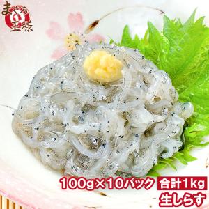 生しらす 生シラス(1kg 100g×10パック 約20人前)｜maguro-ousama