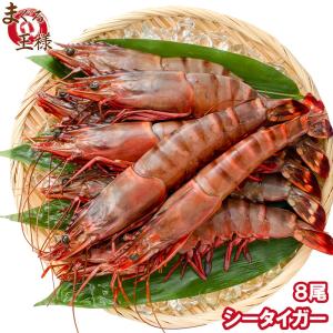 エビフライ 特大 その他種類のエビ の商品一覧 エビ 魚介類 海産物 食品 通販 Yahoo ショッピング