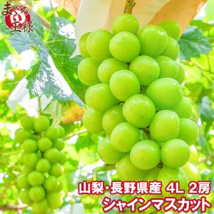 シャインマスカット 山梨県 長野県産 種なしシャインマスカット 1箱1.2-1.4kg 600g-700g前後×2房 4Lサイズ 最高級特秀ランク