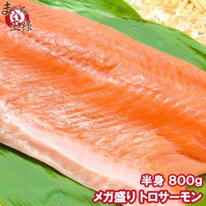 サーモン 刺身用 メガ盛り トロサーモン トラウトサーモン 800g