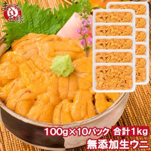 生ウニ 生うに 冷凍 無添加 天然 1kg 100g×10パック(ウニ
