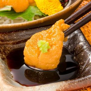 生ウニ 生うに 冷凍 無添加 天然 100g ...の詳細画像5