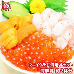 築地のウニイクラ甘海老丼セット（無添加生うに100g＆いくら100g＆甘海老200g）｜maguro-ousama