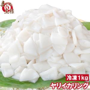 ヤリイカリング 1kg (いか イカ やりいか)