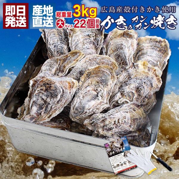 牡蠣 カンカン焼き 殻付き カキ 冷凍 セット 総重量3kg 広島県産 海鮮 食材 かき 貝類 10...