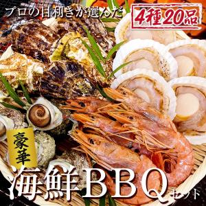海鮮 バーベキュー セット 4種類 20品 赤海老 殻付き牡蠣 ホタテ サザエ 2〜3人前 食材セット bbq 秋休み キャンプ アウトドア 冷凍 貝類 おつまみ かき