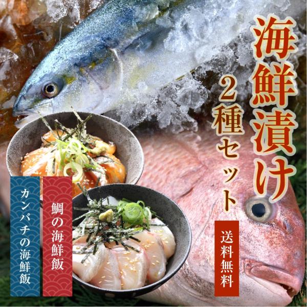 海鮮漬け2種セット 鯛の海鮮飯 60g×2袋 カンパチの海鮮飯 60g×2袋 海鮮セット 海鮮丼 鯛...