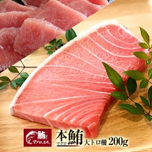 本マグロ大トロ 200g ブロック 柵 まぐろ マグロ 鮪