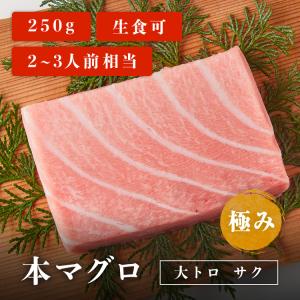 マグロ 刺身 本マグロ 大トロ 柵 サク 極み 250g 2~3人...