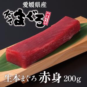 生本マグロ（だてまぐろ）赤身200ｇ柵（さく） 鮪 伊達...